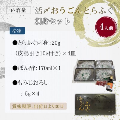 活〆おうごんとらふぐ刺身4人前セット