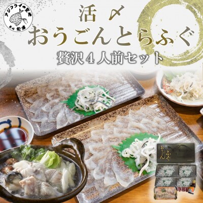 活〆おうごんとらふぐ贅沢4人前セット