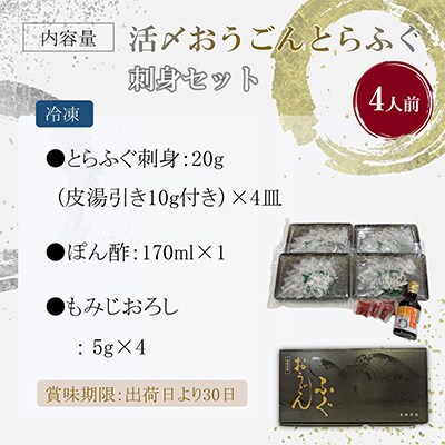 【2ヵ月毎定期便】活〆おうごんとらふぐ刺身4人前セット 全3回