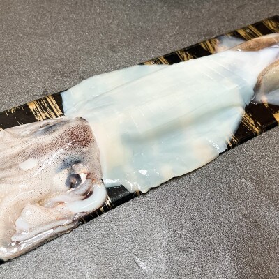 真あじ干物とスルメ姿造り