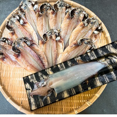 真あじ干物10枚といか活き造り詰合せ
