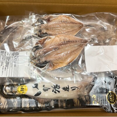 真あじ干物10枚といか活き造り詰合せ