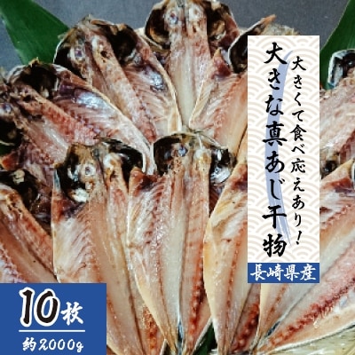【発送月固定定期便】 大きな真あじ干物 10枚(約2000g) 全6回