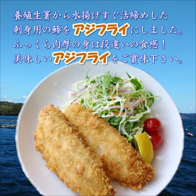 アジフライの聖地・松浦　アジフライ&とろける旨味と食感のごまサバセット