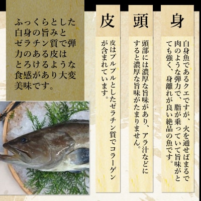鷹島のうまかクエ鍋用　2～3人前