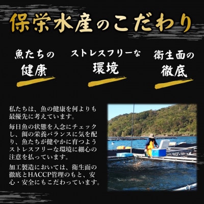 鷹島のうまかクエ鍋用　2～3人前
