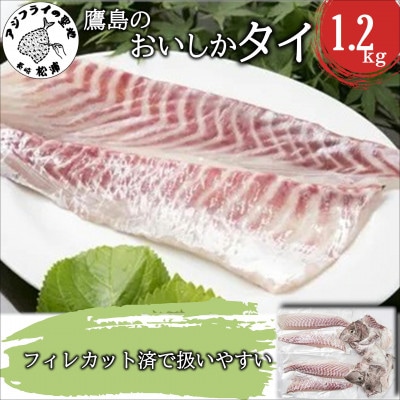 鷹島のおいしかタイ(1.2kg)