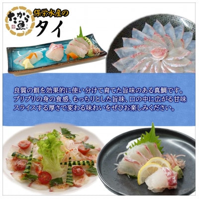 鷹島のおいしかタイ(1.2kg)