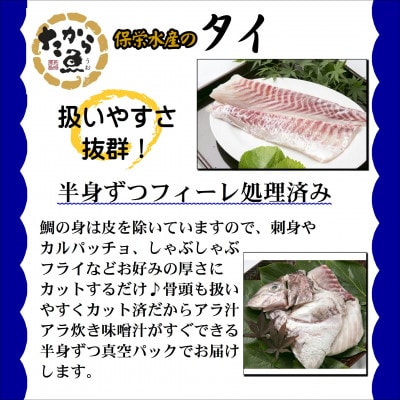 鷹島のおいしかタイ(1.2kg)