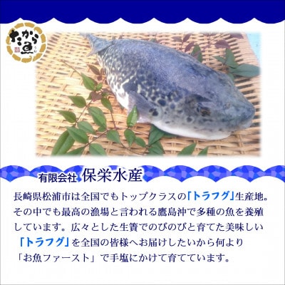 鷹島のうまかトラフグ鍋セット