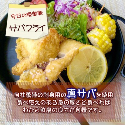極厚サバフライと刺身でウマいごまサバセット～旬な鯖をフライと特製胡麻醤油和えで～