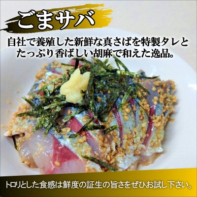 極厚サバフライと刺身でウマいごまサバセット～旬な鯖をフライと特製胡麻醤油和えで～