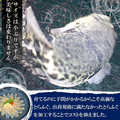驚きの逸品「訳ありサイズの高級とらふぐ炙りてっさとちり鍋・唐揚げ用」3人前