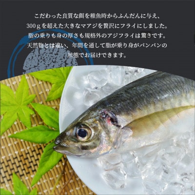 「アジフライの聖地　松浦」体脂肪率10%以上!養殖真あじのふっくらサクサク大判アジフライフィーレ