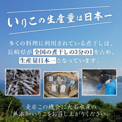 逸品　いりこ詰め合わせ1kg