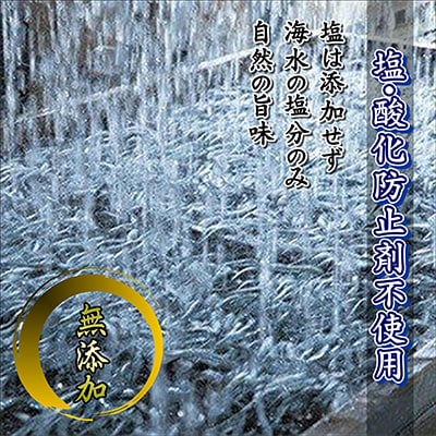 2023年4月発送開始『定期便』そのまま食べておいしいいりこ【100g×10袋】全3回