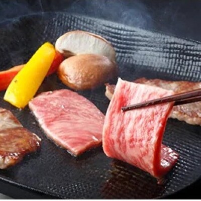 【2023年6月下旬発送】松浦食肉組合厳選A4ランク以上　長崎和牛肩ロース焼肉用　500g