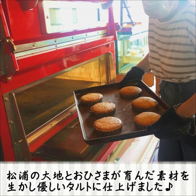 松浦産オレンジ・さつまいもを使用したチーズタルトとスイートポテトタルトセット