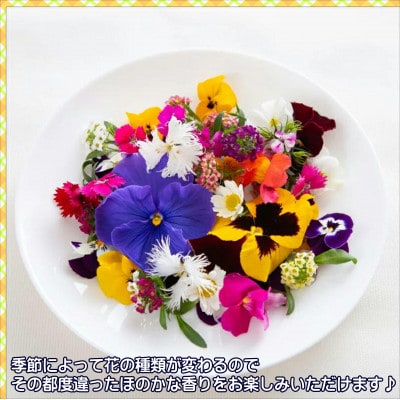お料理の仕上げの一振りで食卓に彩りを　エディブルフラワーソルト3種の花びらセット