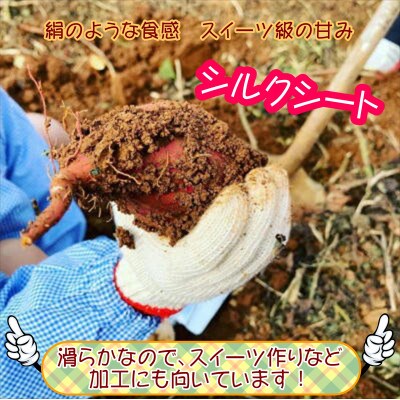 しっとり滑らかな甘さのさつまいも「シルクスイート」3kg