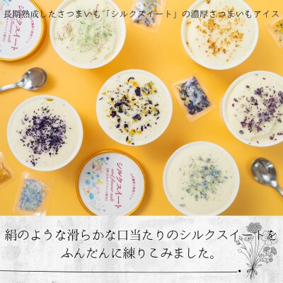 カラフルファームのさつまいも50%使用フラワーソルトで仕上げるシルクスイートアイス プレーン6個