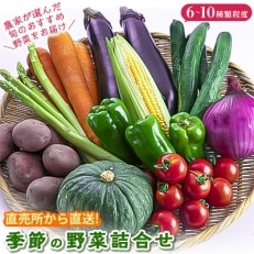 【2024年6月下旬発送】直売所から直送!季節の野菜詰合せ