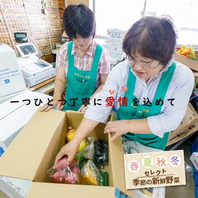 直売所から直送!季節の野菜詰合せ