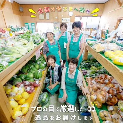 直売所から直送!季節の野菜詰合せ