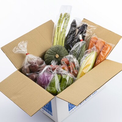 【2022年5月中旬発送】直売所から直送!季節の野菜詰合せ