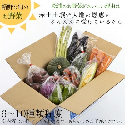 直売所から直送!季節の野菜詰合せ