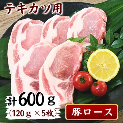 長崎県産豚ロース　テキカツ用　120g×5枚