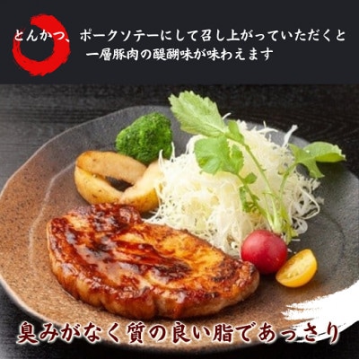 長崎県産豚ロース　テキカツ用　120g×5枚