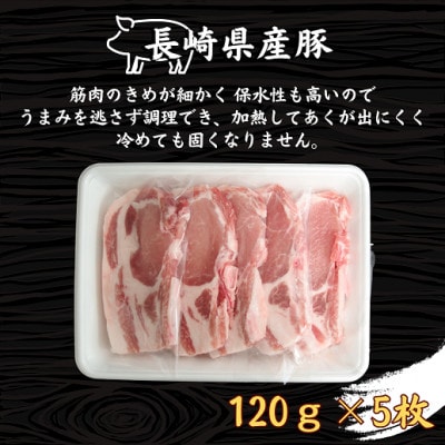 長崎県産豚ロース　テキカツ用　120g×5枚