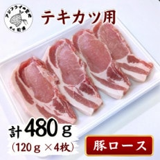 長崎県産豚ロース テキカツ用 120g&times;4枚