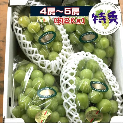 御厨ぶどうシャインマスカット(特秀)4房～5房約2kg