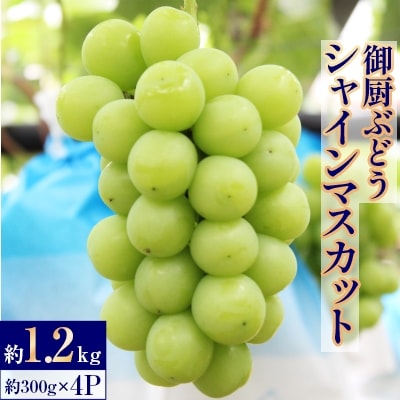 御厨ぶどうシャインマスカット4P約1.2kg