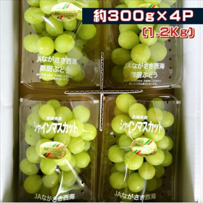 御厨ぶどうシャインマスカット4P約1.2kg