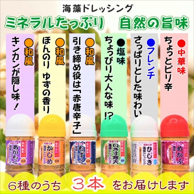 海のミネラルが詰まった海藻ドレッシング3種セット