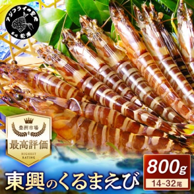 豊洲市場で高評価を受け続ける車海老　東興のくるまえび800g(玄海活きくるまえび)