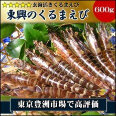 豊洲市場で高評価を受け続ける車海老　東興のくるまえび600g(玄海活きくるまえび) | ふるさと納税のお礼品