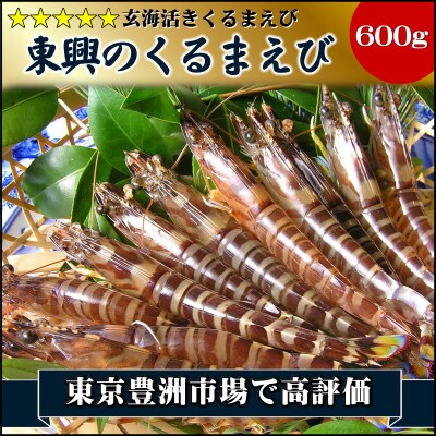 豊洲市場で高評価を受け続ける車海老 東興のくるまえび600g(玄海活きくるまえび)