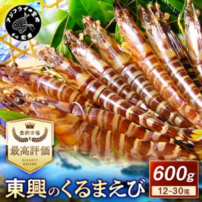 豊洲市場で高評価を受け続ける車海老　東興のくるまえび600g(玄海活きくるまえび)