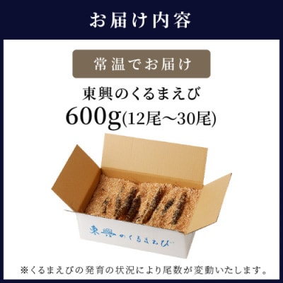 豊洲市場で高評価を受け続ける車海老　東興のくるまえび600g(玄海活きくるまえび)