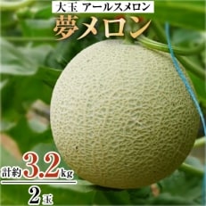 大玉アールスメロン 夢メロン2玉入り(1玉約1.6kg)