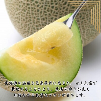 島根産アールスメロン優2L5玉入り！大玉！8kg箱！ 楽天市場】【送料無料】 島根県産 アールスメロン 秀品 3L〜4L