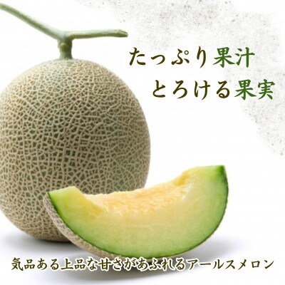 大玉アールスメロン　夢メロン2玉入り(1玉約1.6kg)