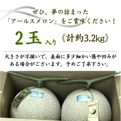 大玉アールスメロン　夢メロン2玉入り(1玉約1.6kg)