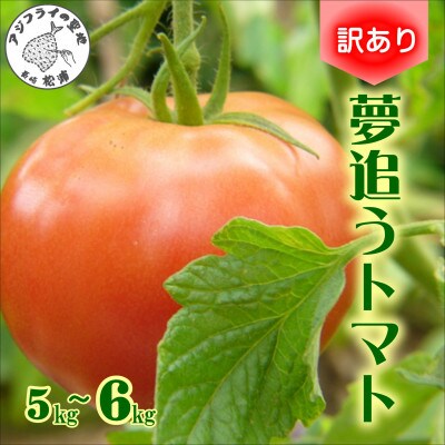 訳あり!ご家庭用に大活躍 夢追うトマト5kg~6kg