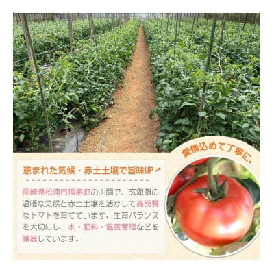 訳あり!ご家庭用に大活躍 夢追うトマト5kg~6kg