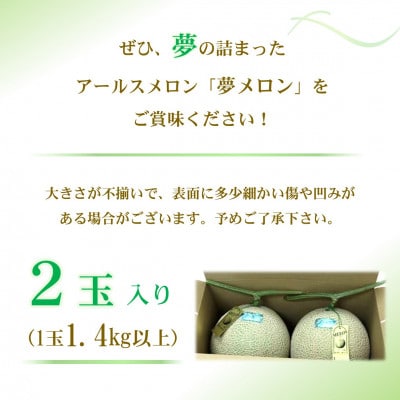 大玉アールスメロン　夢メロン2玉(1玉1.4kg以上)